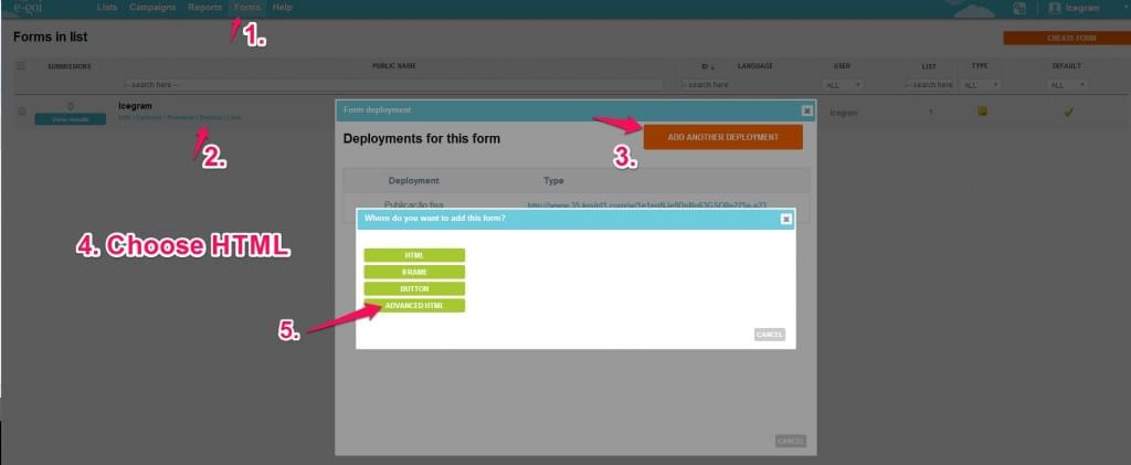 Extracting the HTML code of E-goi forms