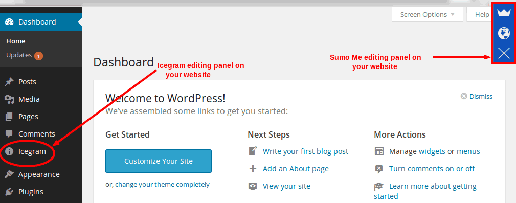 Start working with SumoMe or Icegram Engage from WP Admin...