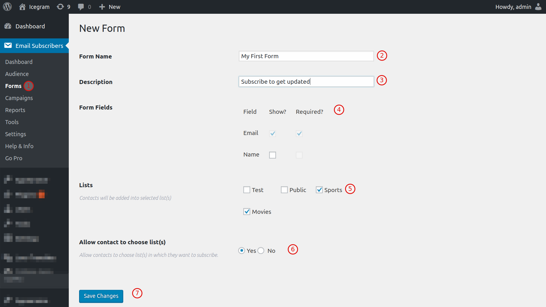 How to create form in Email Subscribers Icegram