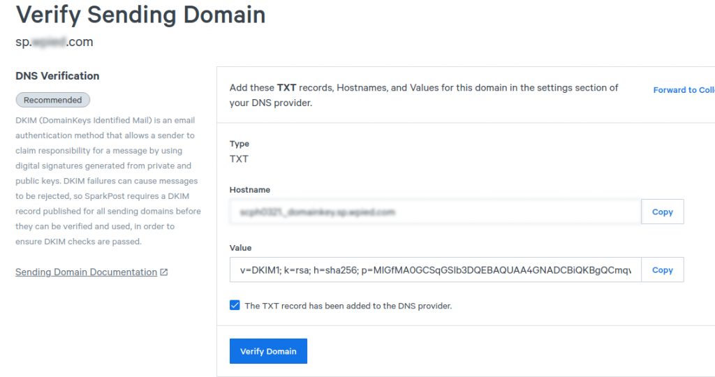 Adding DNS record for verification