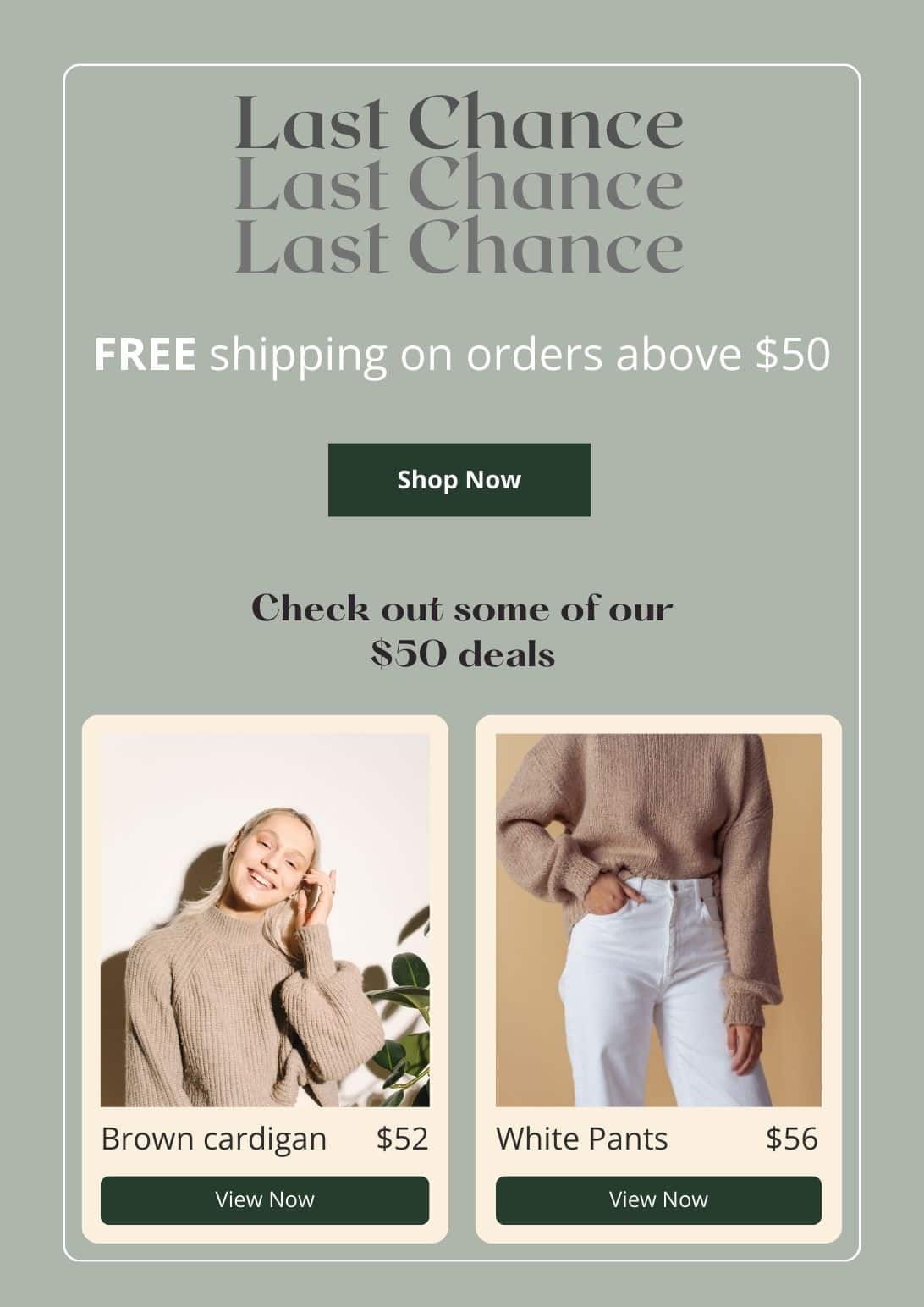 email newsletter scarcity example