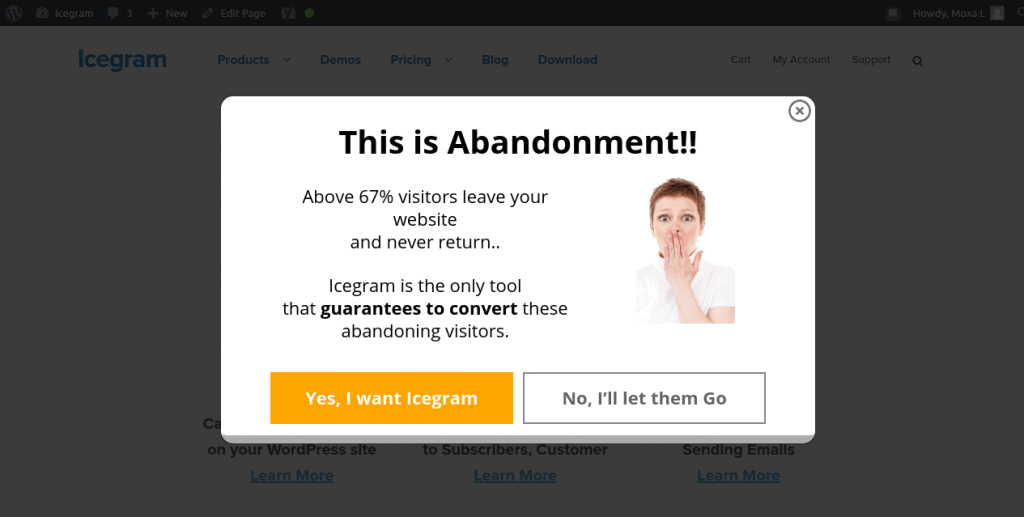 effective exit-intent campaigns_cart abandonment popup_engage message popups examples