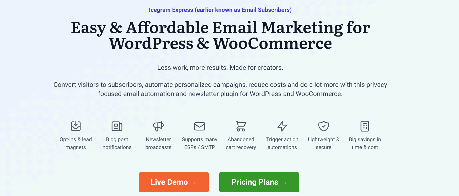 Icegram Express dashboard